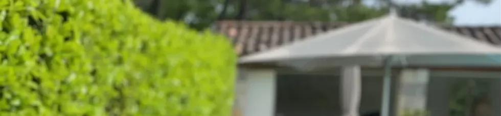 De Romeinse danser - The Roman dancer