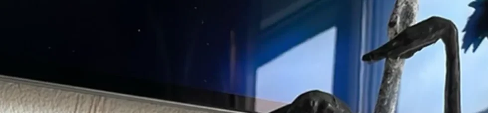 De bassist: The bass player